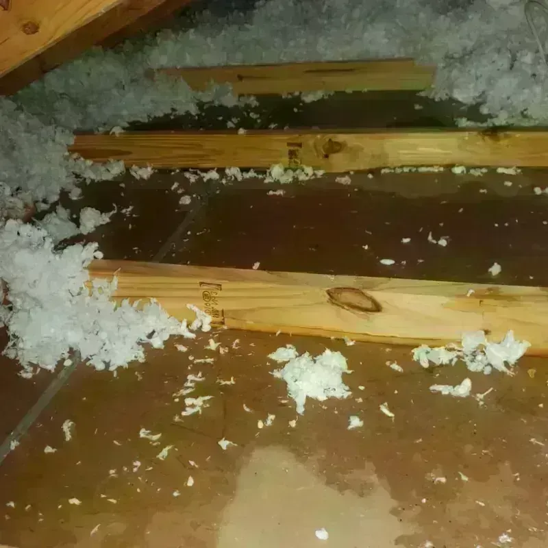 Attic Water Damage in Waukon, IA