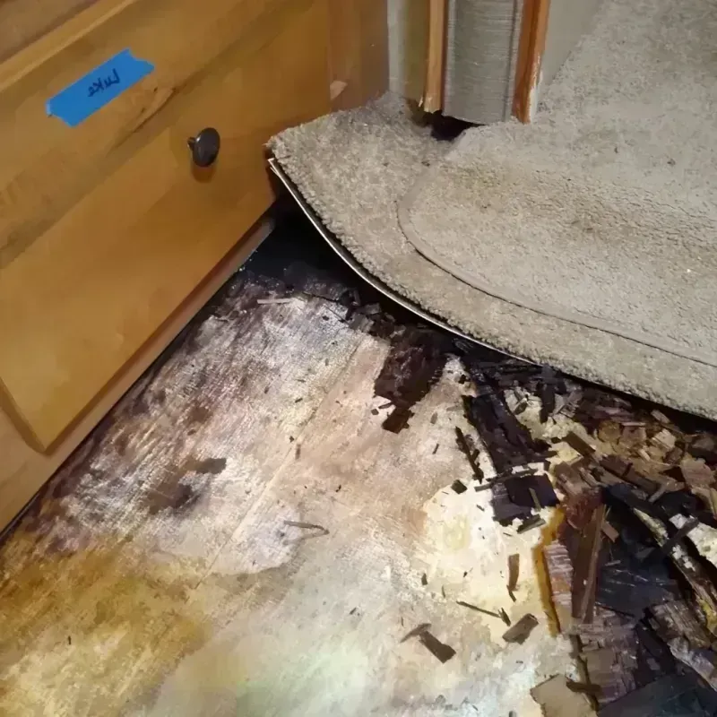 Best Wood Floor Water Damage Service in Waukon, IA